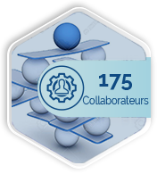 hexa-collaborateurs